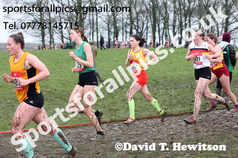 Senior girls 2019 New Balance English Schools Cross Country Champs, Temple Newsam, Leeds. Photo:  David T. Hewitson/Sports for All Pics